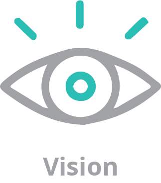 vision